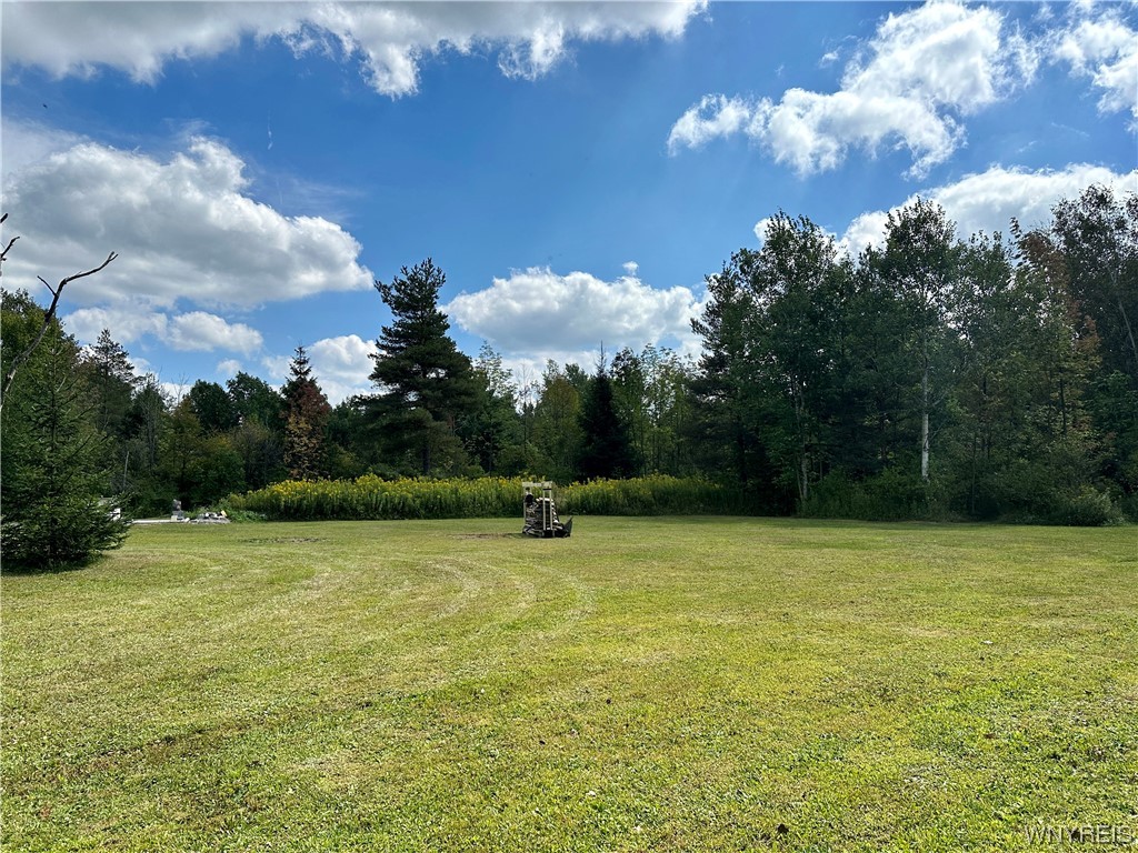 0 Nesbitt Road Warsaw, NY 14569 - Photo 2 of 7