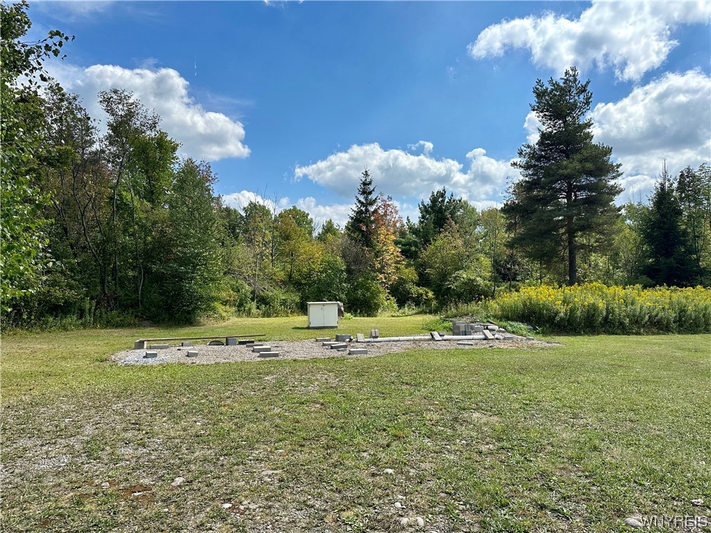 0 Nesbitt Road Warsaw, NY 14569 - Photo 3 of 7