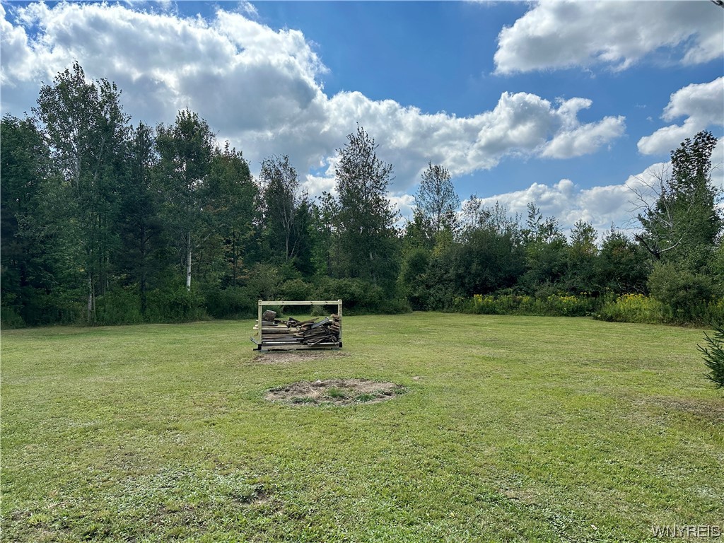 0 Nesbitt Road Warsaw, NY 14569 - Photo 4 of 7