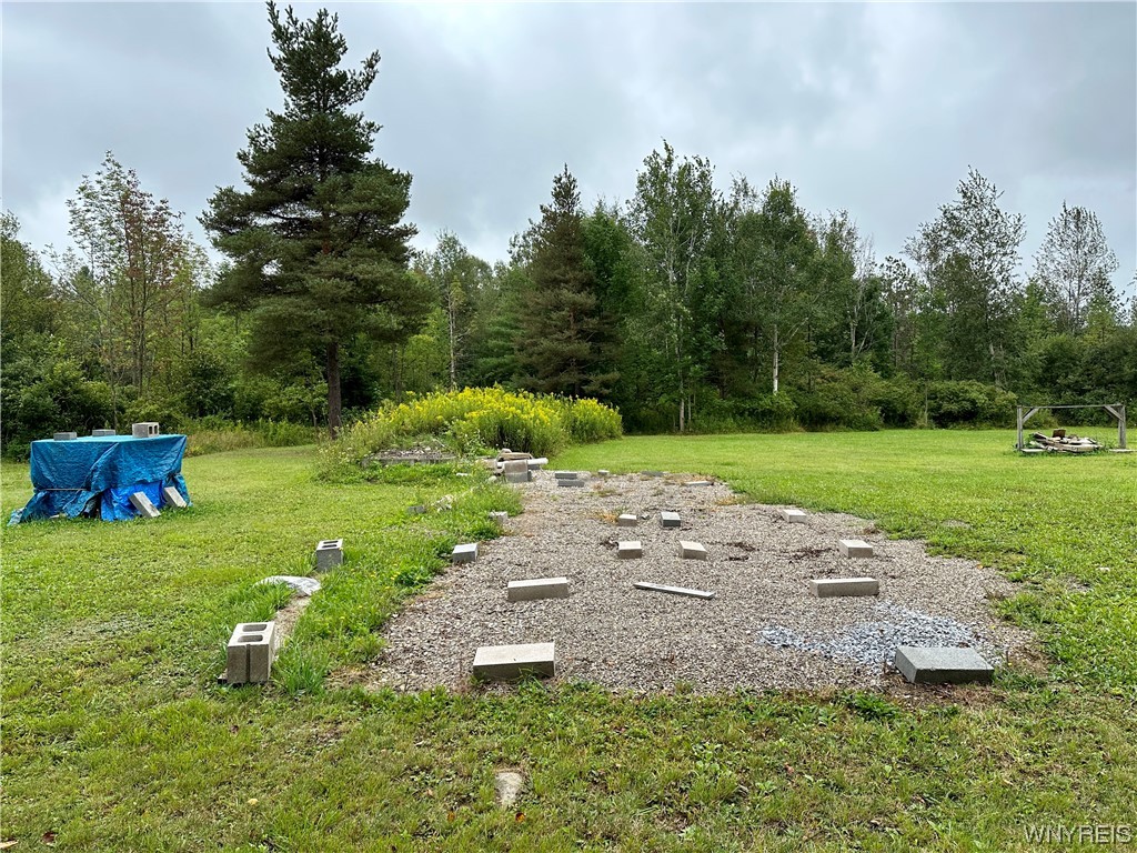 0 Nesbitt Road Warsaw, NY 14569 - Photo 7 of 7