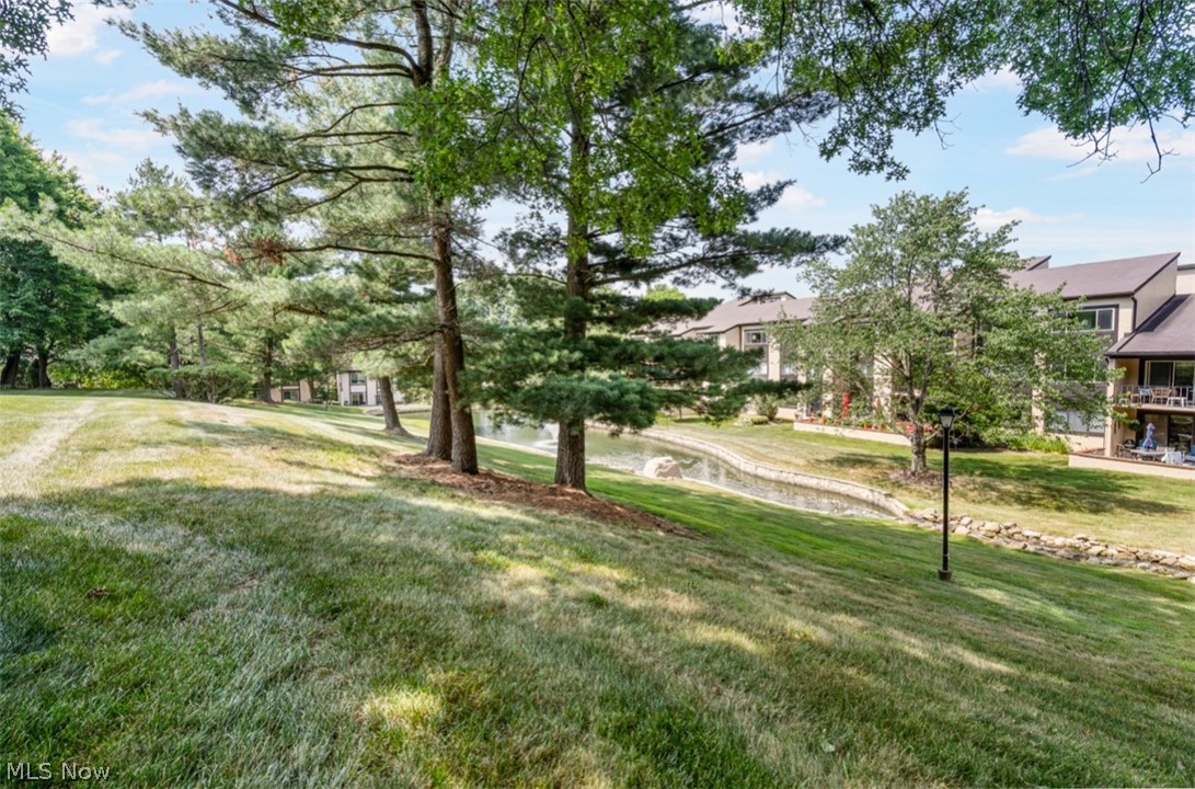 3428 South Smith Road Fairlawn, OH 44333 - Photo 3 of 30 View of yard