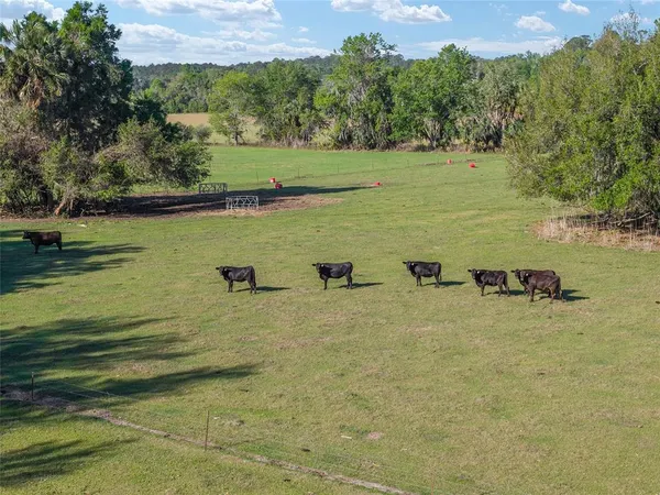 $8,468,880 | 6405 Northwest 165th Street, Reddick, FL 32686