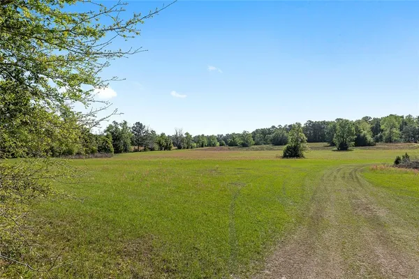 a view of lake with green space