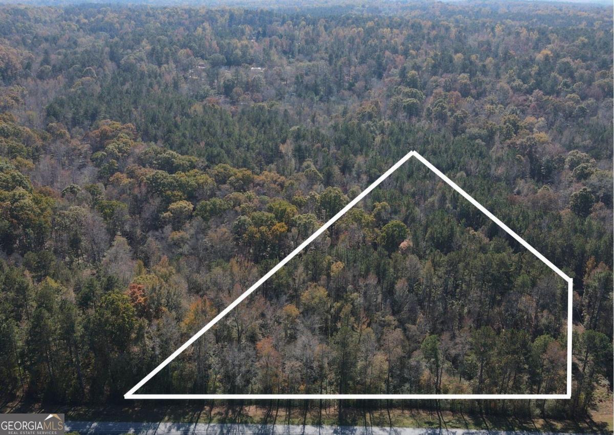 3178 South McKoy Road Villa Rica, GA 30180 - Photo 1 of 1 a view of a forest