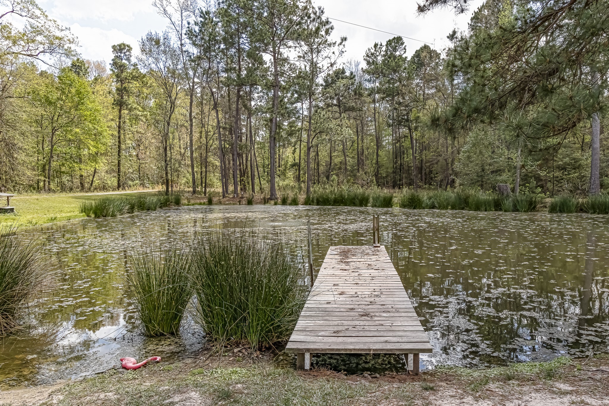 188 Pullin Road Corrigan, TX 75939 - Photo 33 of 50 Stocked Pond
