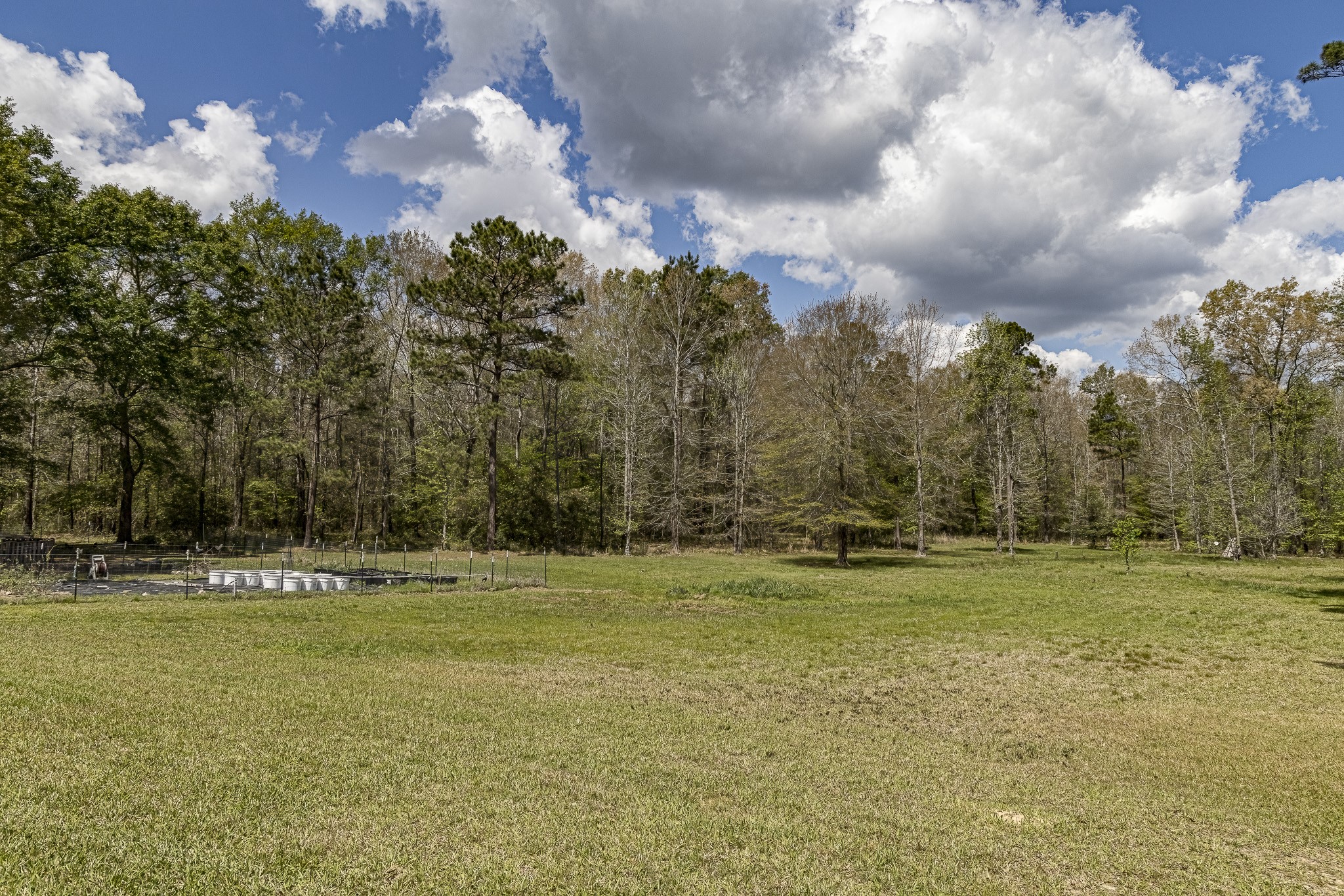 188 Pullin Road Corrigan, TX 75939 - Photo 42 of 50 Cleared area behind the home with shooting berm