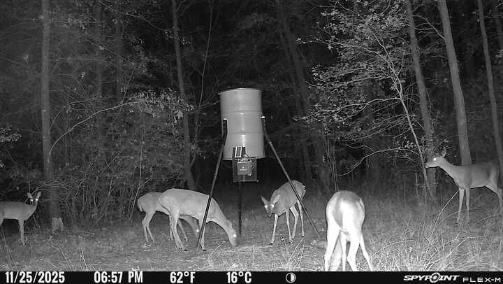 188 Pullin Road Corrigan, TX 75939 - Photo 43 of 50 Deer Feeders Included