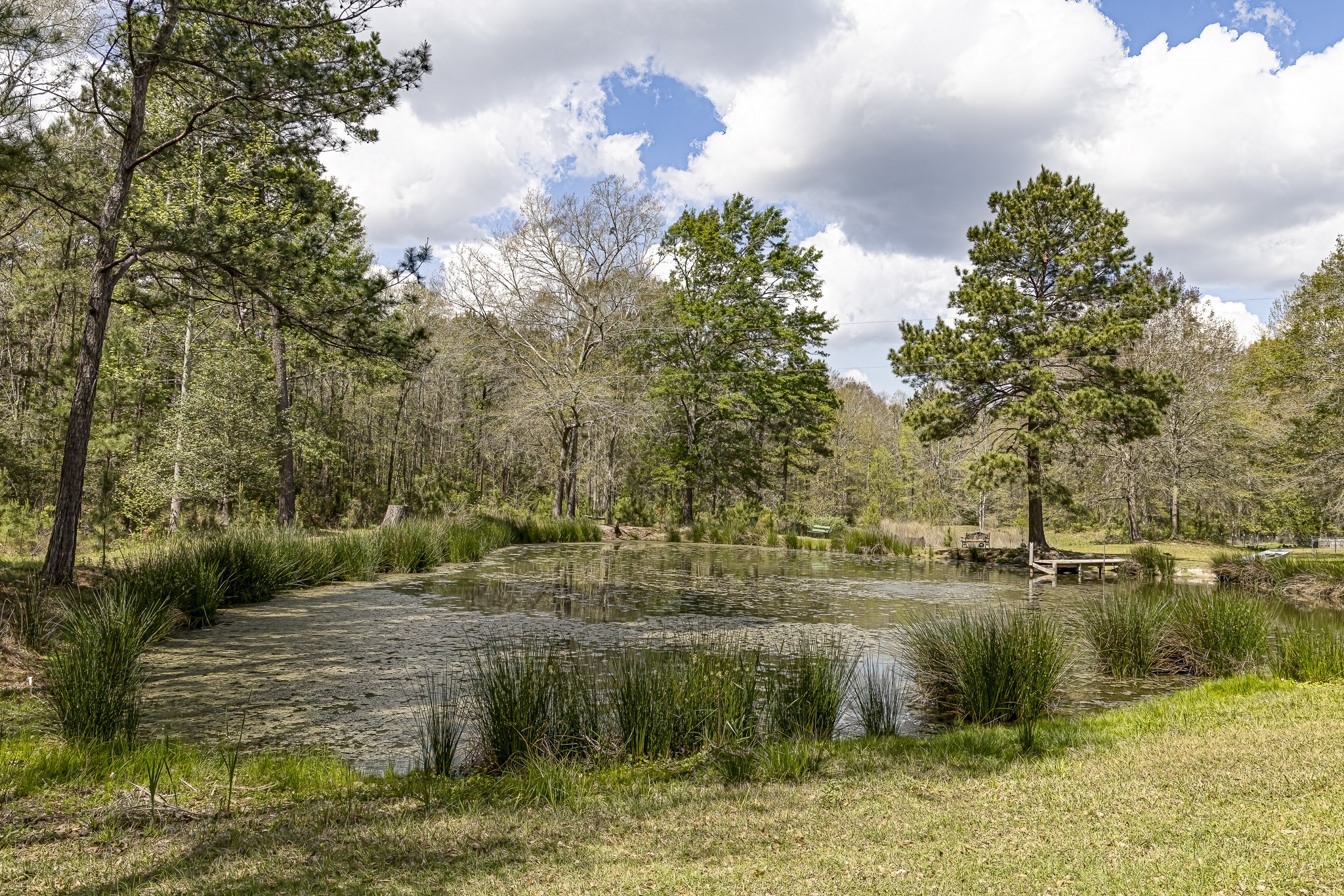 188 Pullin Road Corrigan, TX 75939 - Photo 45 of 50 Stocked Pond