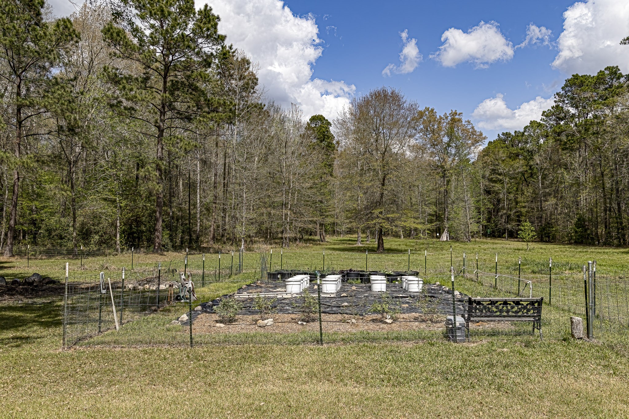 188 Pullin Road Corrigan, TX 75939 - Photo 46 of 50 Large Garden with Drip Irrigation