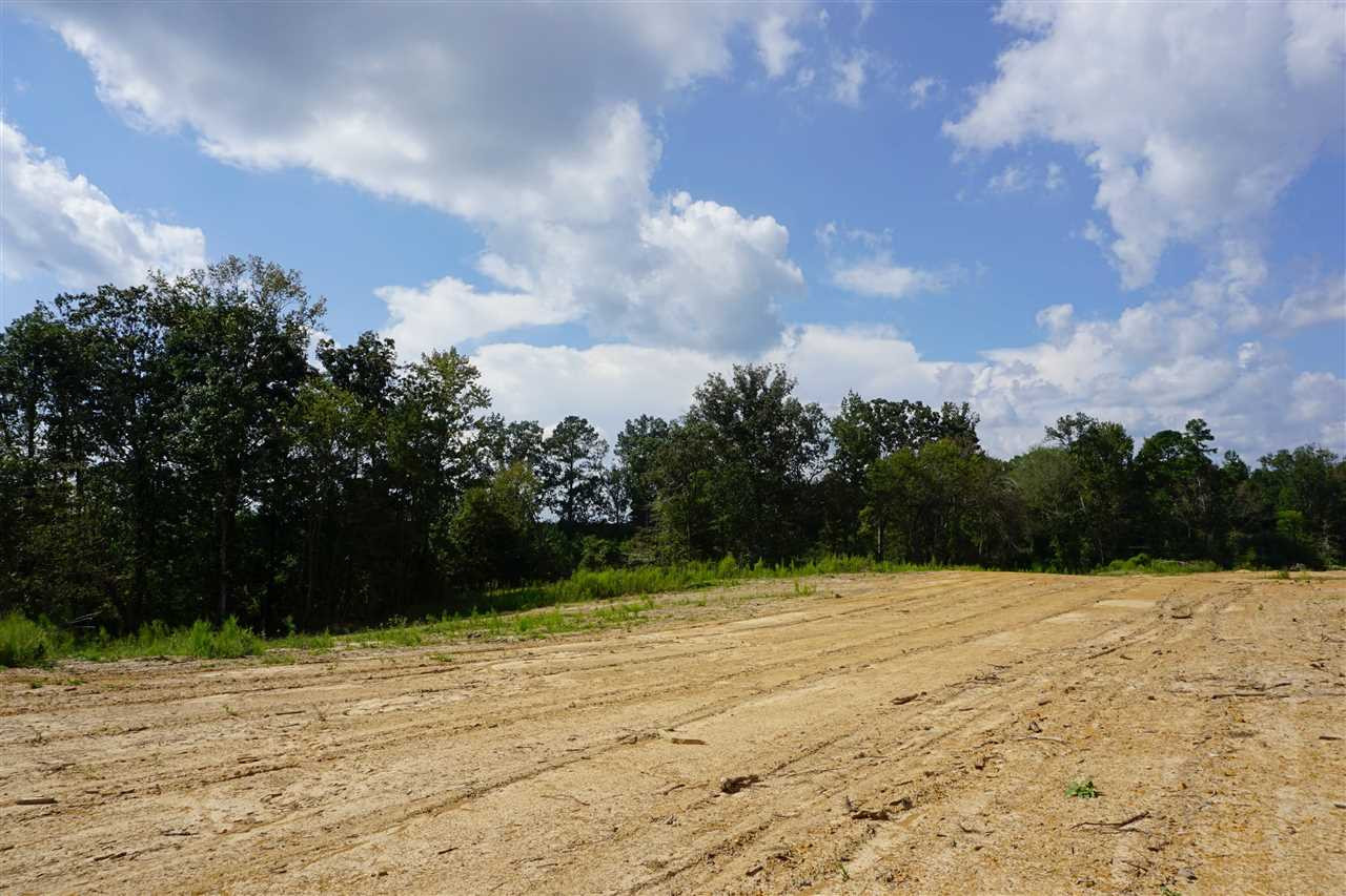 365 Sanders Lane Carthage, MS 39051 - Photo 5 of 15 Photo 5