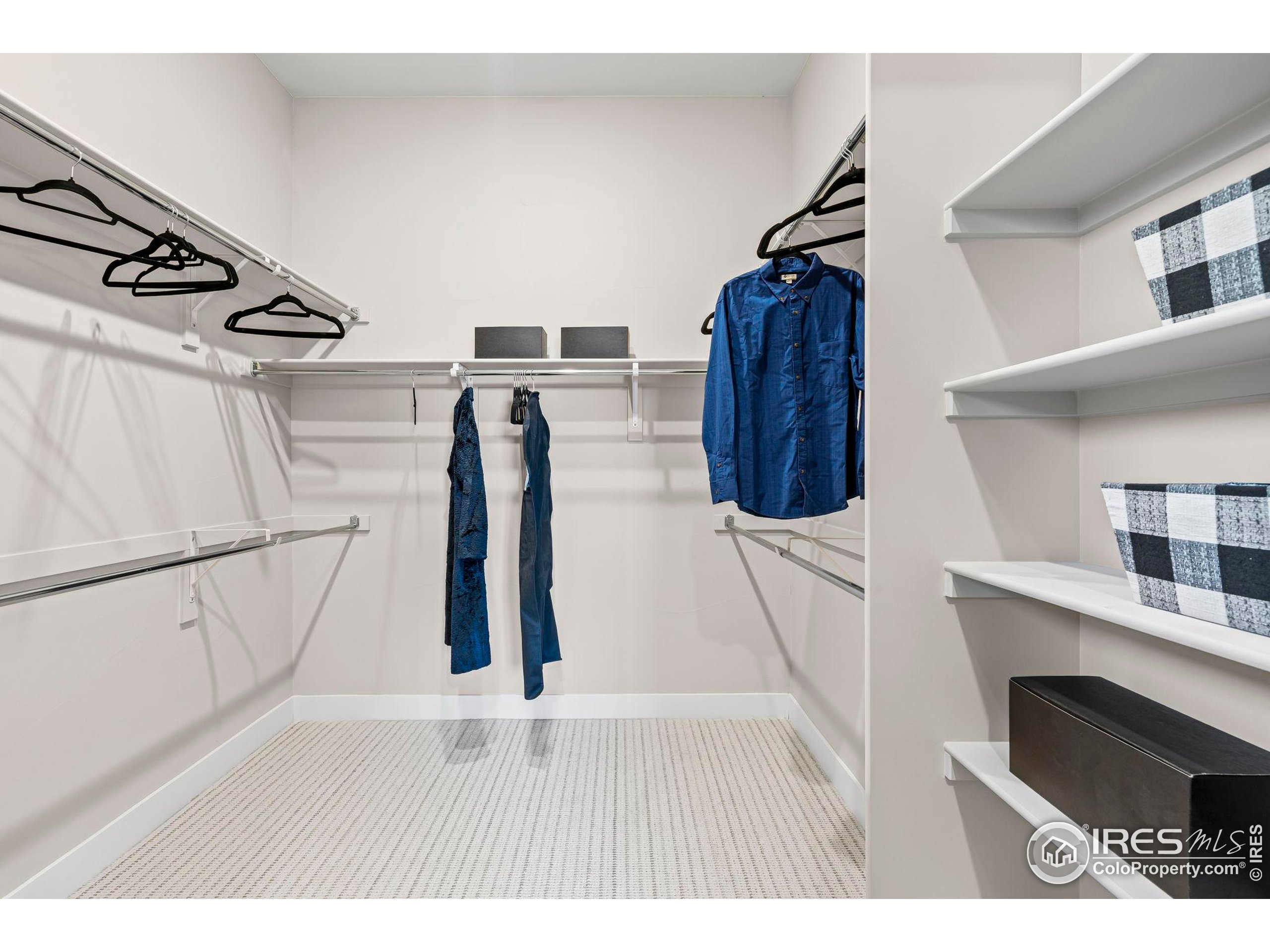 3016 Windward Way Fort Collins, CO 80524 - Photo 28 of 49 a view of entryway with wooden floor