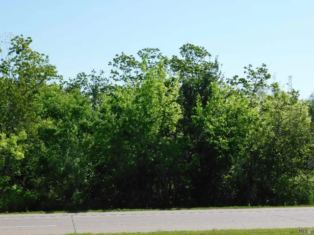 $75,000 | Tbd North Alex Plaisance Boulevard, Golden Meadow, LA 70357