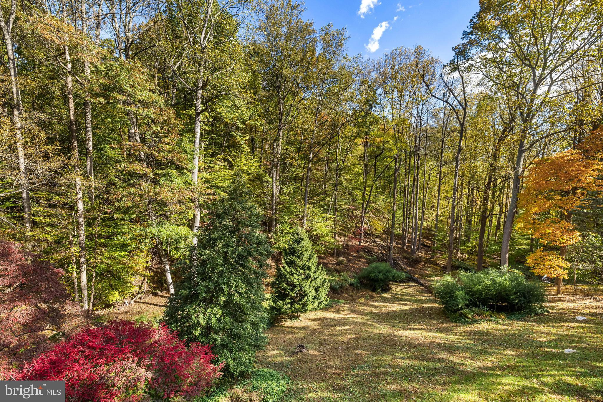 1106 High Country Road Towson, MD 21286 - Photo 21 of 77 a view of a yard with plants and large trees