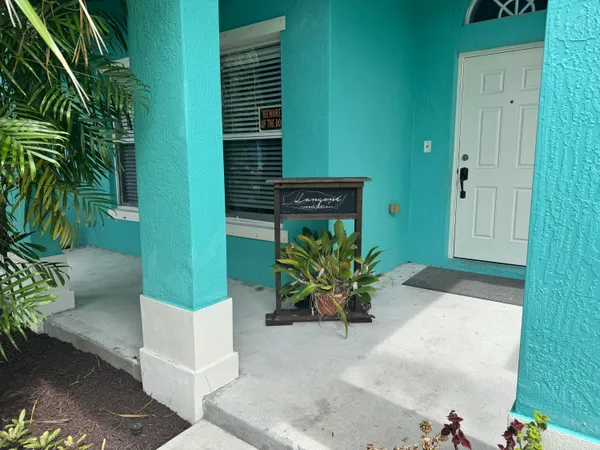 a potted plant sitting in front of a house