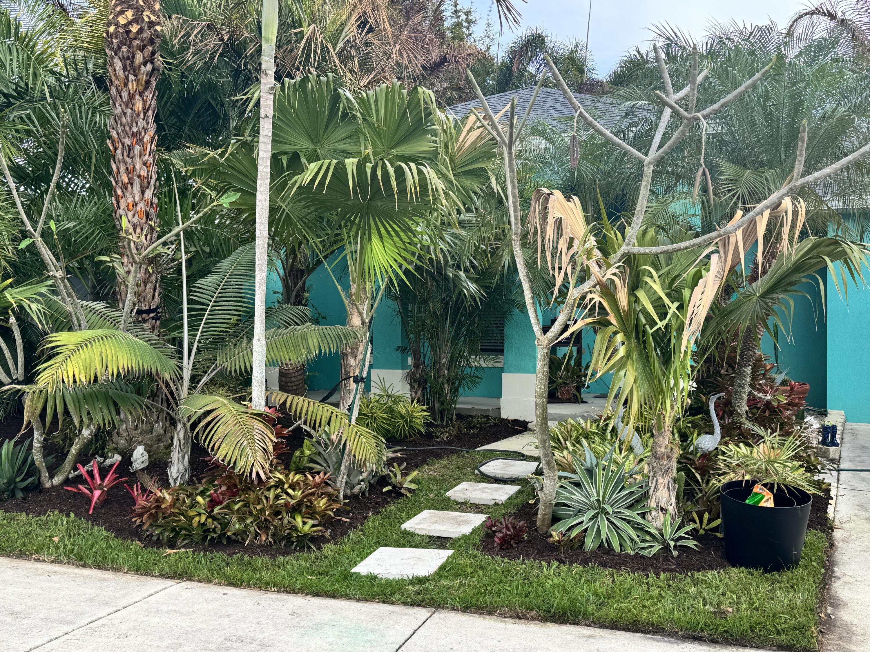 4571 Southeast Murray Cove Circle Stuart, FL 34997 - Photo 4 of 35 a view of a backyard with plants