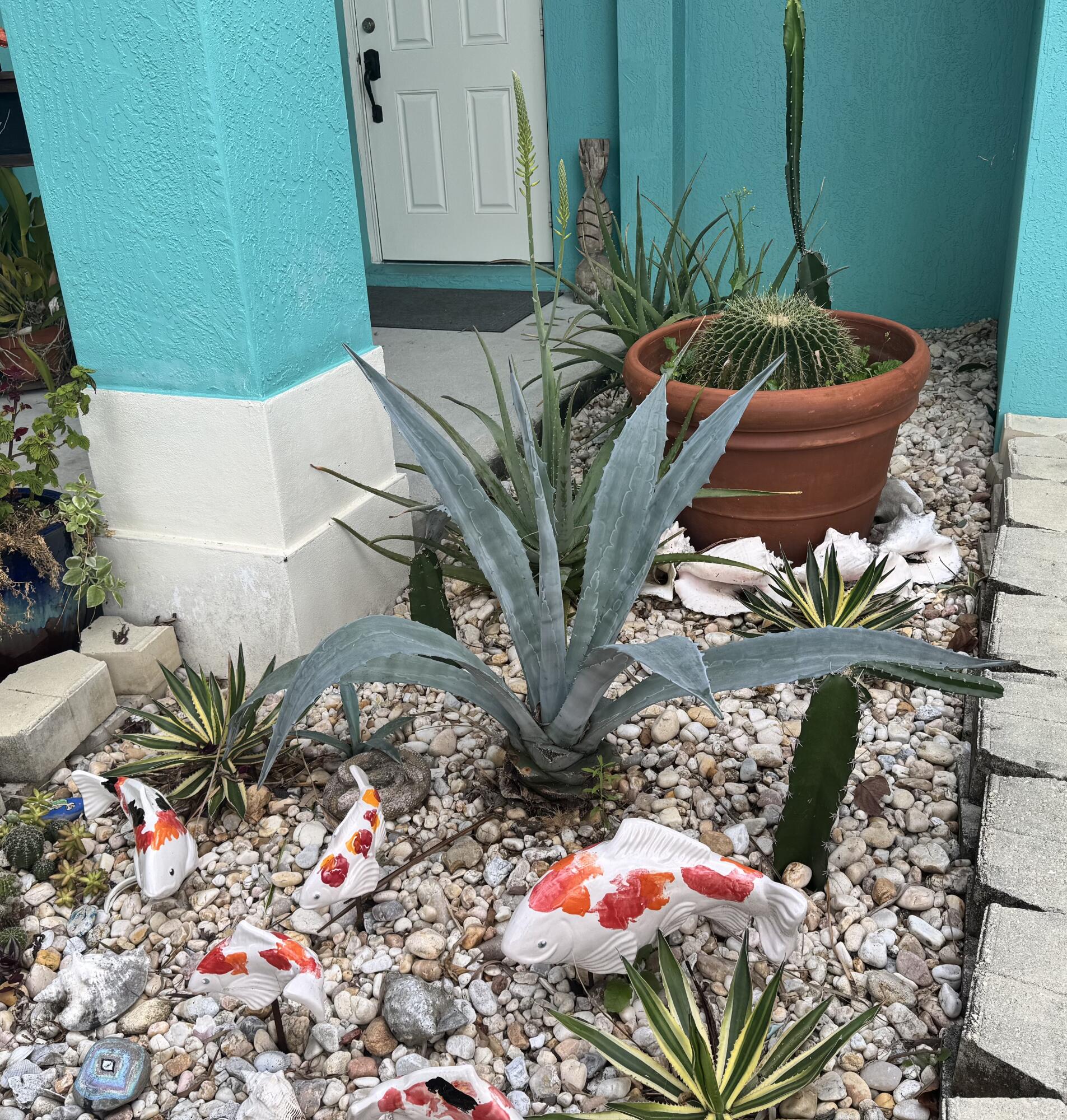 4571 Southeast Murray Cove Circle Stuart, FL 34997 - Photo 5 of 35 a plant with lots of potted plants