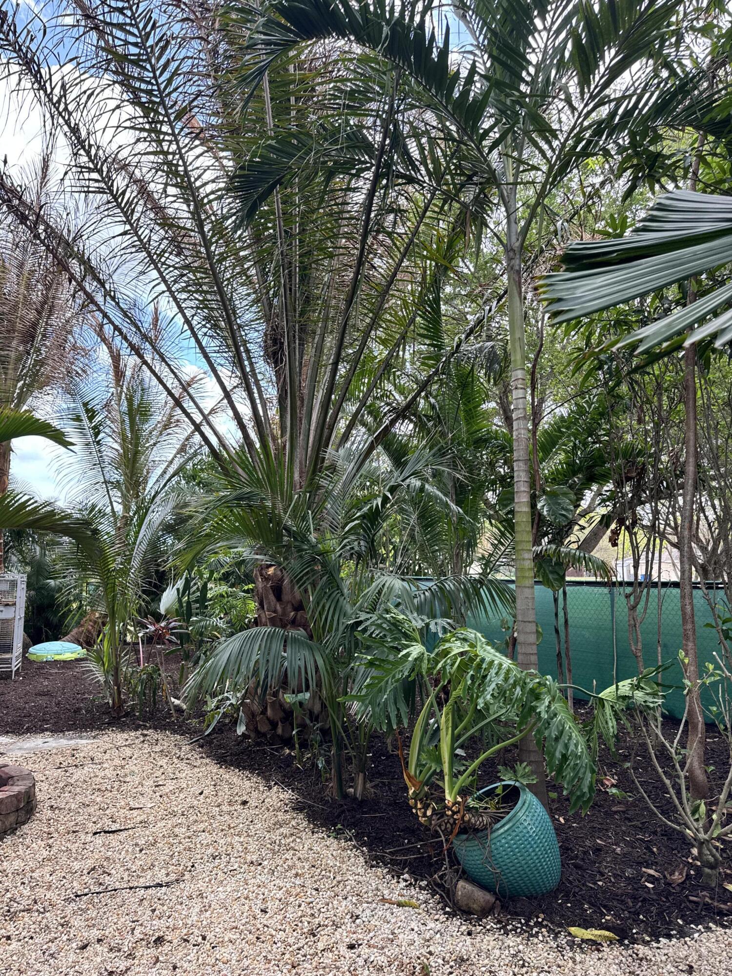 4571 Southeast Murray Cove Circle Stuart, FL 34997 - Photo 8 of 35 a view of a backyard