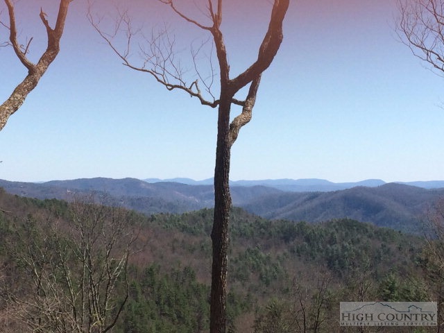 Lot 8 Lost Ridge Road Blowing Rock, NC 28605 - Photo 12 of 21 Gallery Image 12