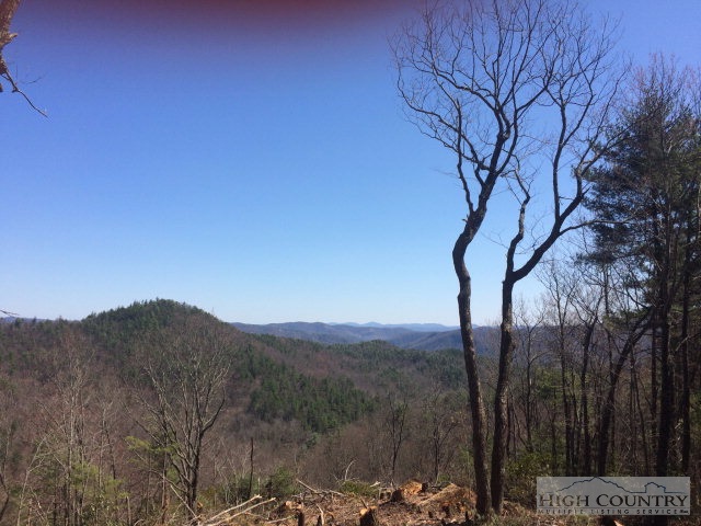 Lot 8 Lost Ridge Road Blowing Rock, NC 28605 - Photo 14 of 21 Gallery Image 14