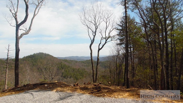 Lot 8 Lost Ridge Road Blowing Rock, NC 28605 - Photo 16 of 21 Gallery Image 16