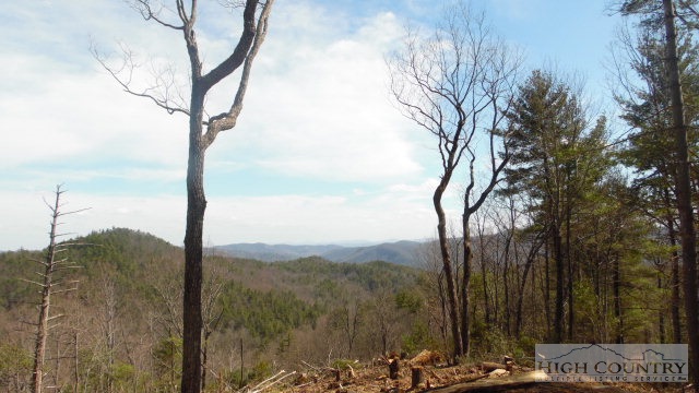 Lot 8 Lost Ridge Road Blowing Rock, NC 28605 - Photo 17 of 21 Gallery Image 17