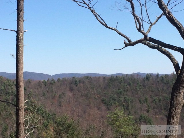 Lot 8 Lost Ridge Road Blowing Rock, NC 28605 - Photo 7 of 21 Gallery Image 7