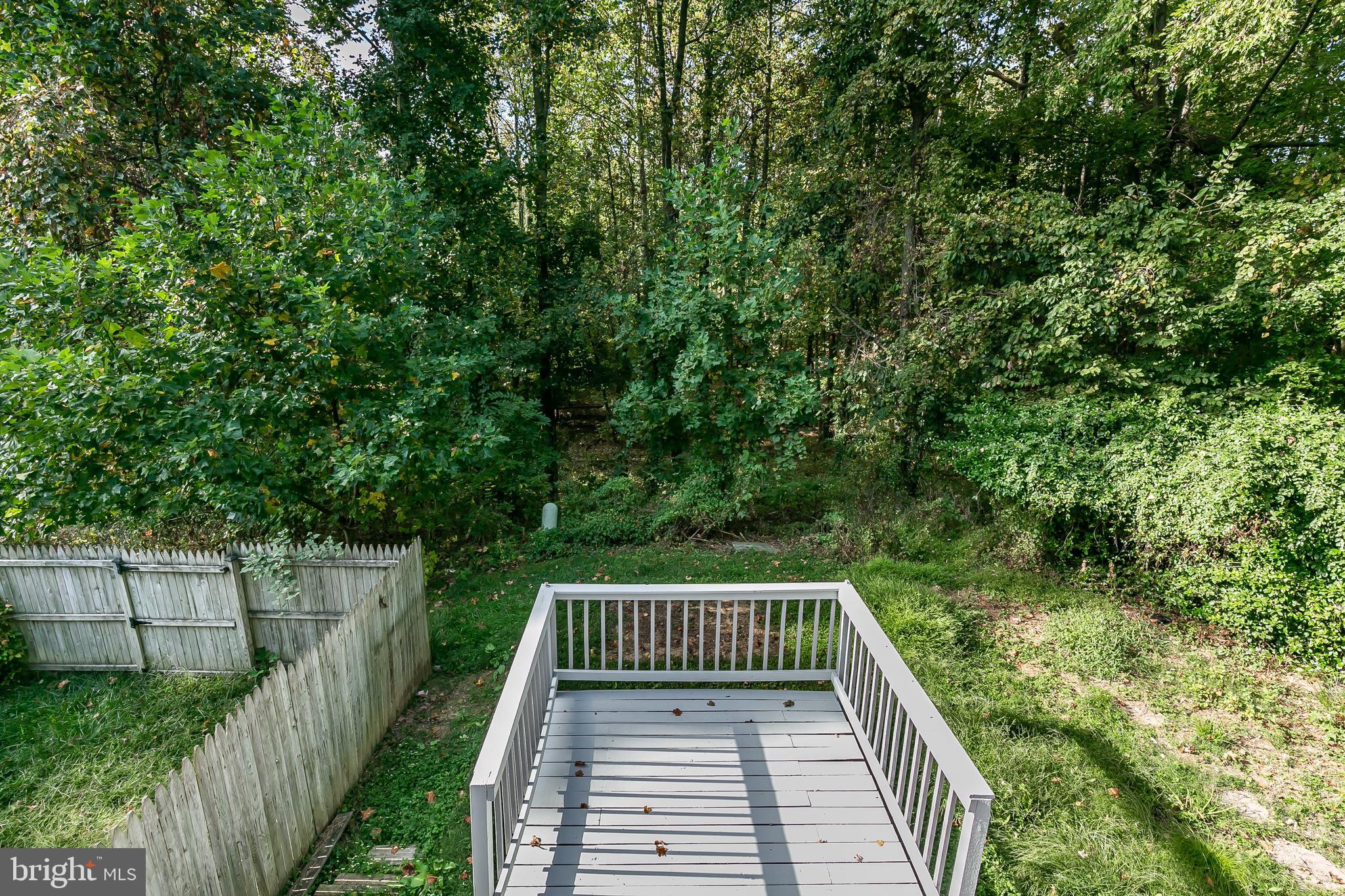 3409 Santee Road Baltimore, MD 21236 - Photo 24 of 28 Nature lover's dream