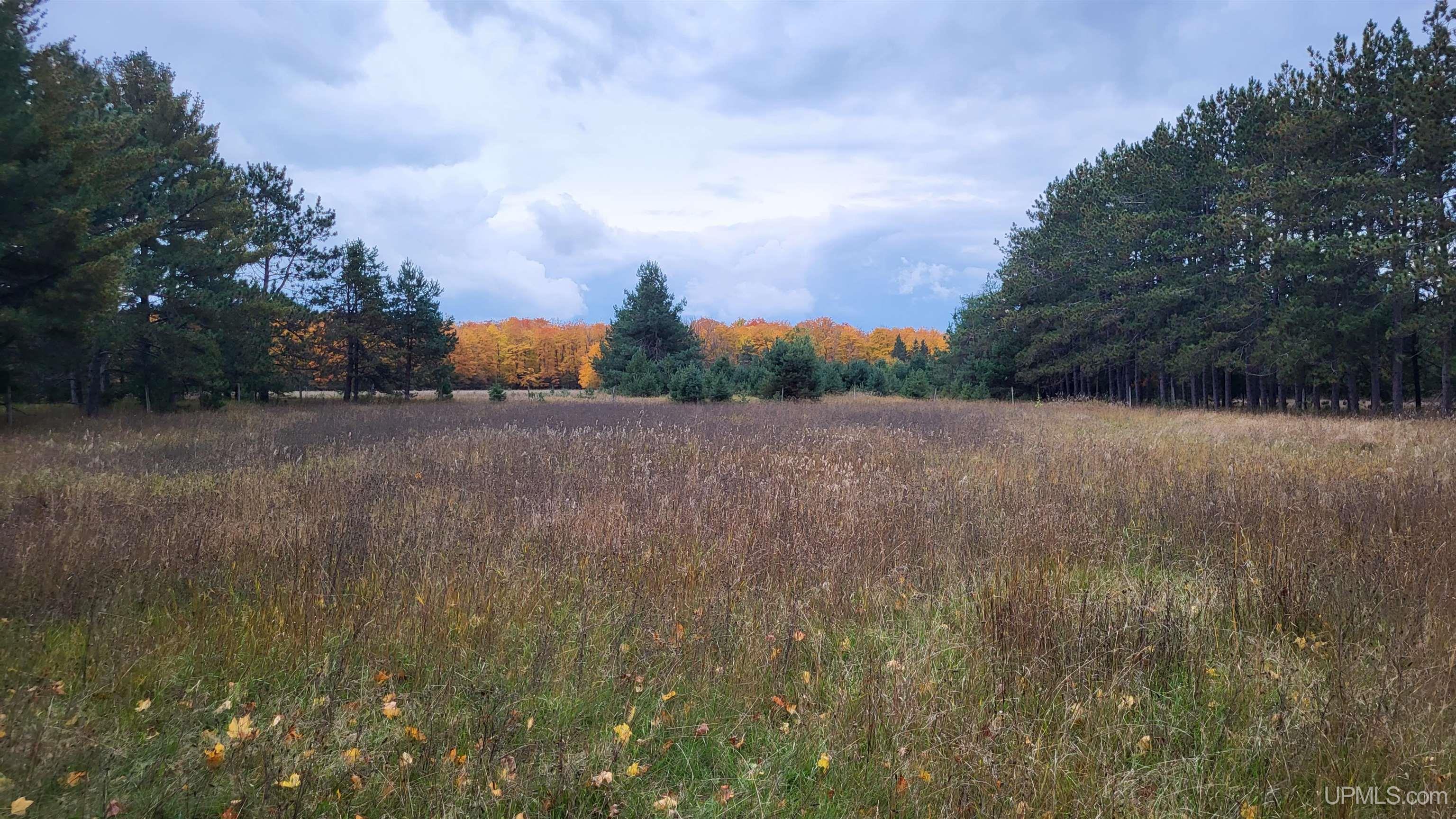 9406 East Traynor Road Goetzville, MI 49736 - Photo 8 of 18