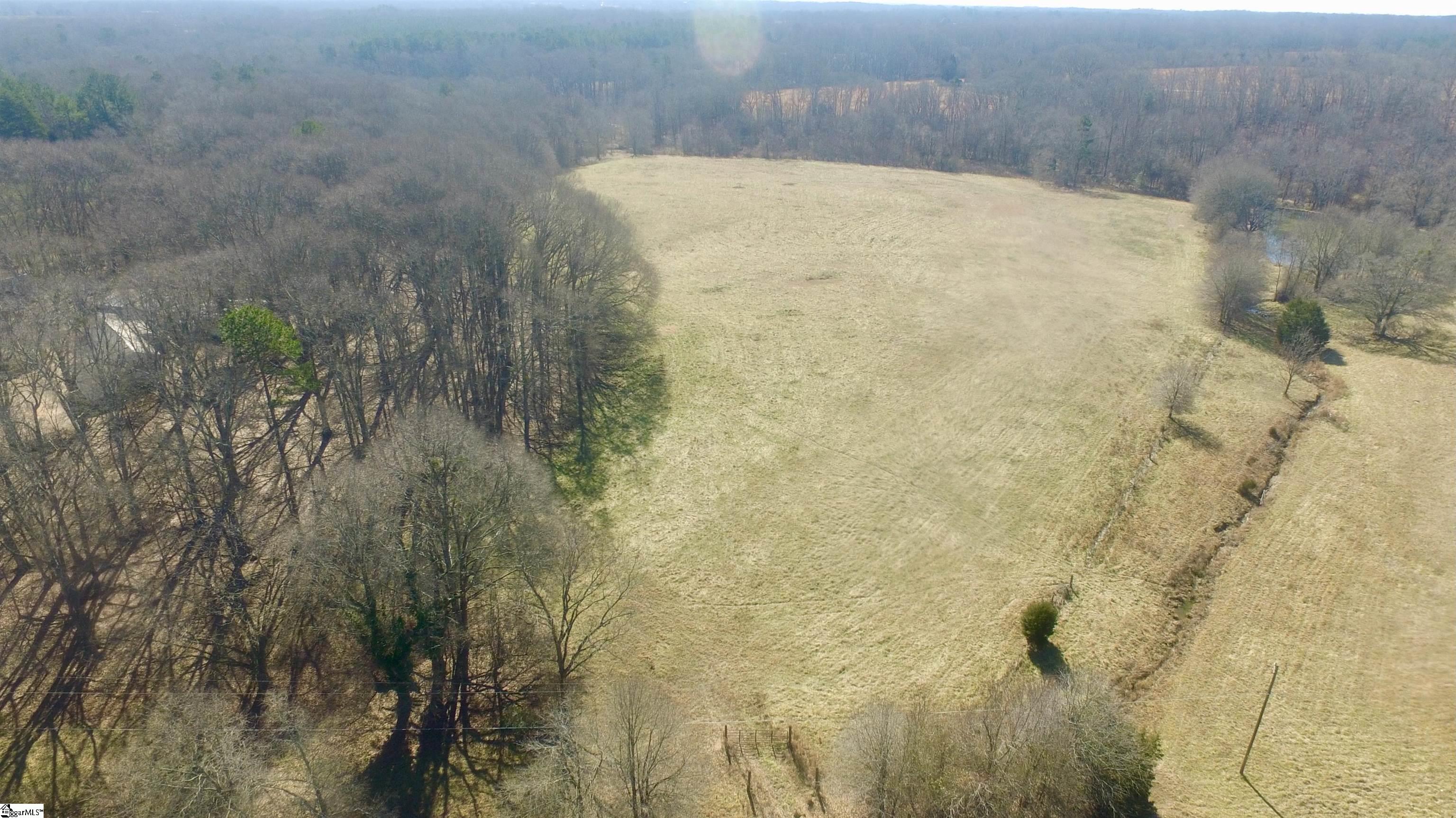 0 Joe Black Road Pelzer, SC 29669 - Photo 5 of 8