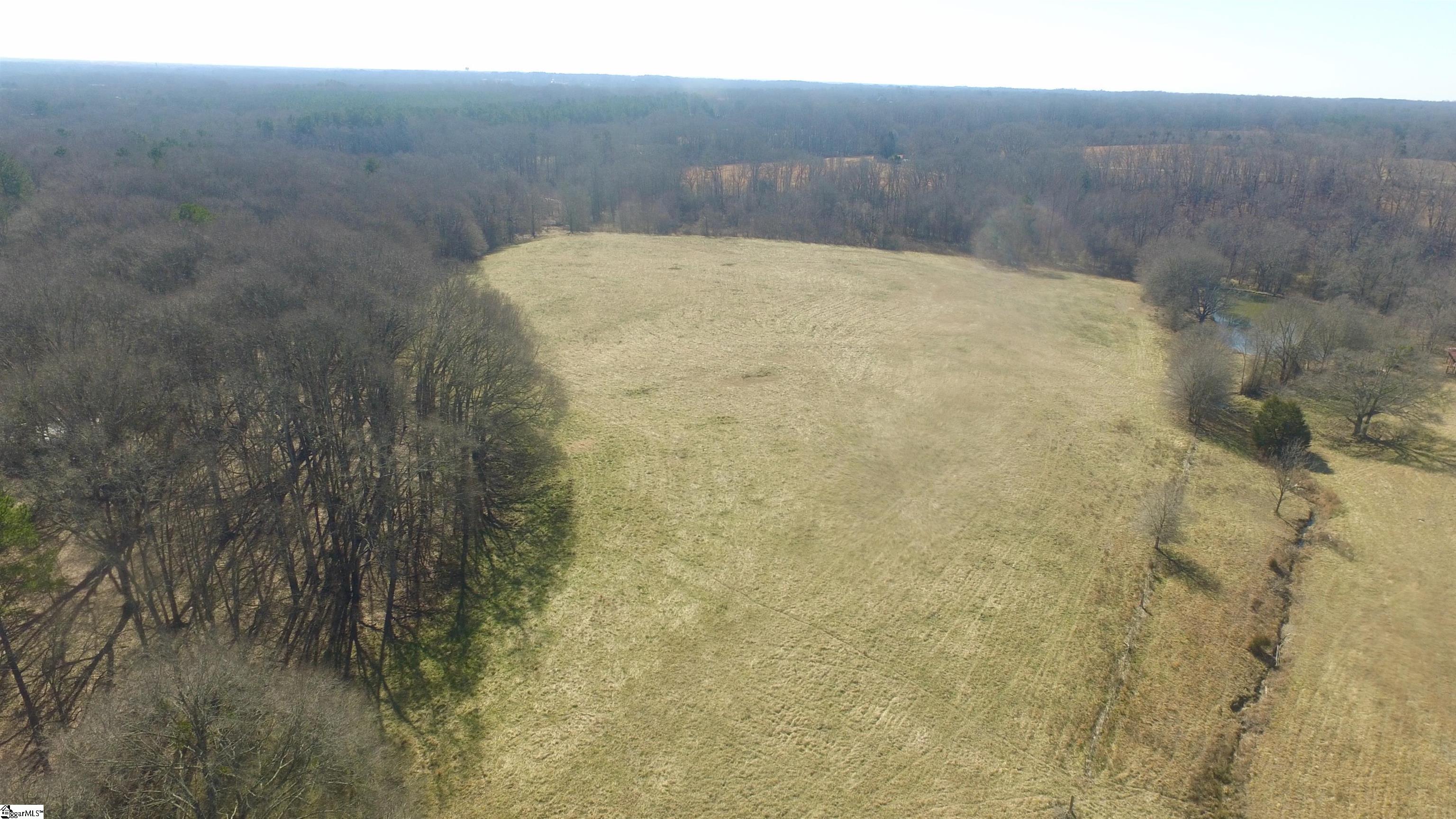 0 Joe Black Road Pelzer, SC 29669 - Photo 6 of 8