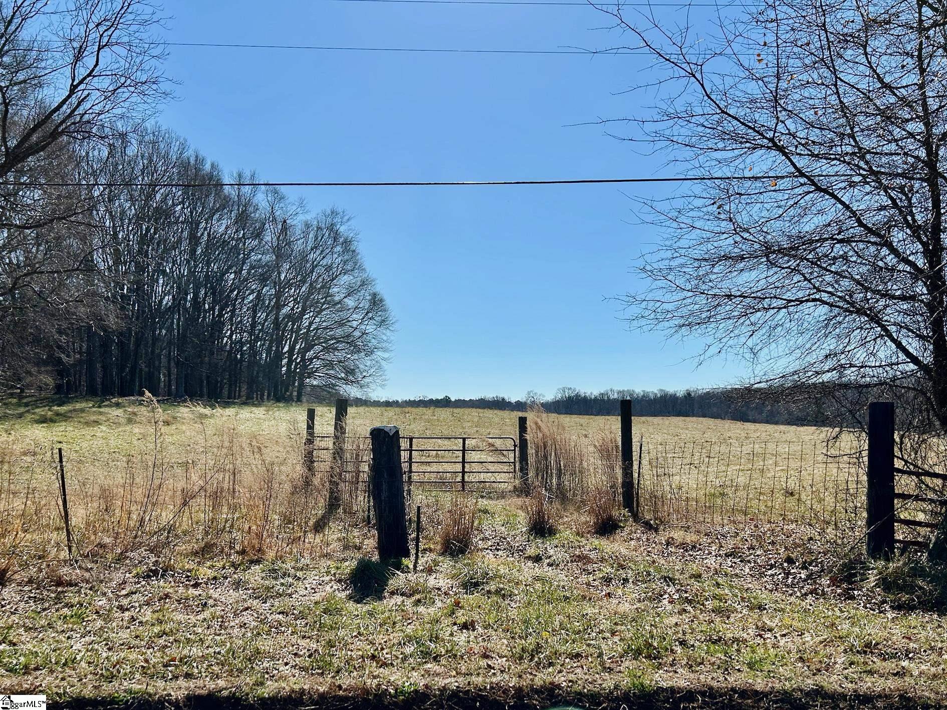 0 Joe Black Road Pelzer, SC 29669 - Photo 8 of 8