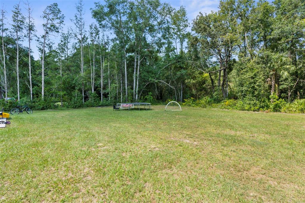 5637 East Tangelo Lane Inverness, FL 34453 - Photo 23 of 23 a backyard of a house with lots of plants and large tree