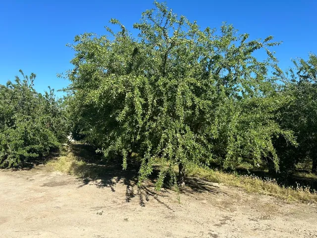 a view of a yard covered in snow