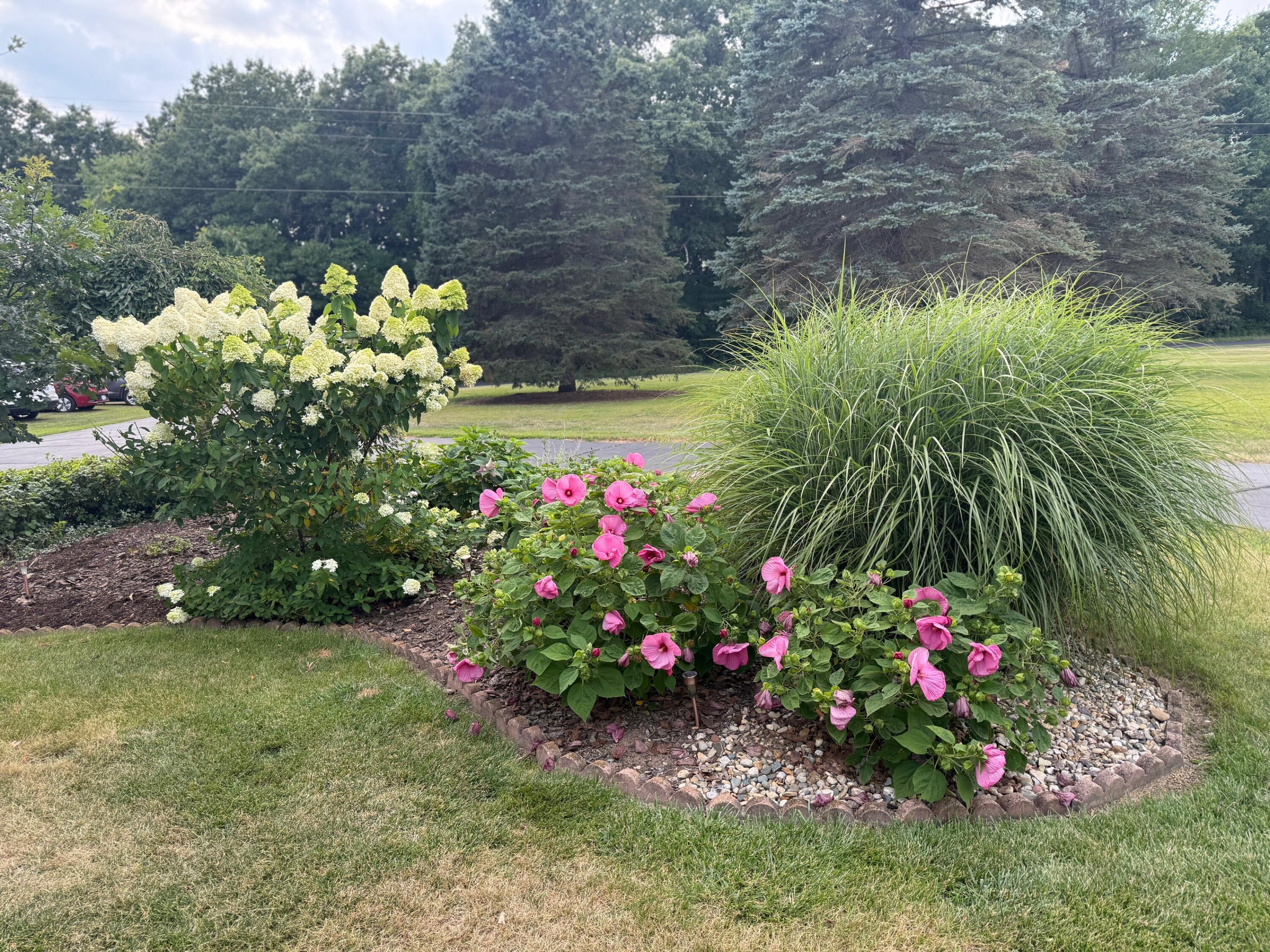 7545 Werkner Road Chelsea, MI 48118 - Photo 60 of 79 IMG_3955