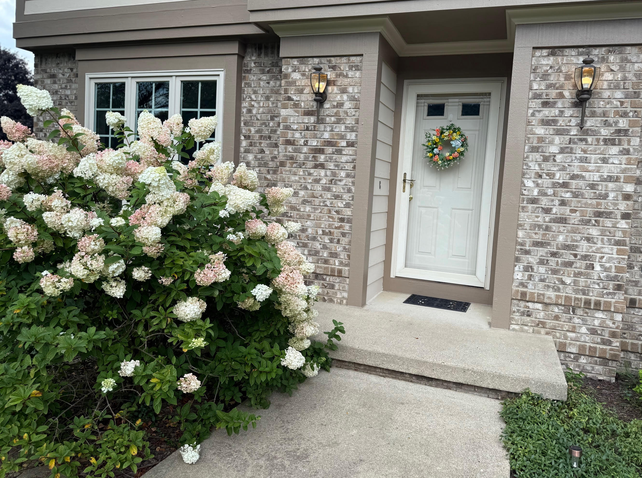 7545 Werkner Road Chelsea, MI 48118 - Photo 74 of 79 unnamed