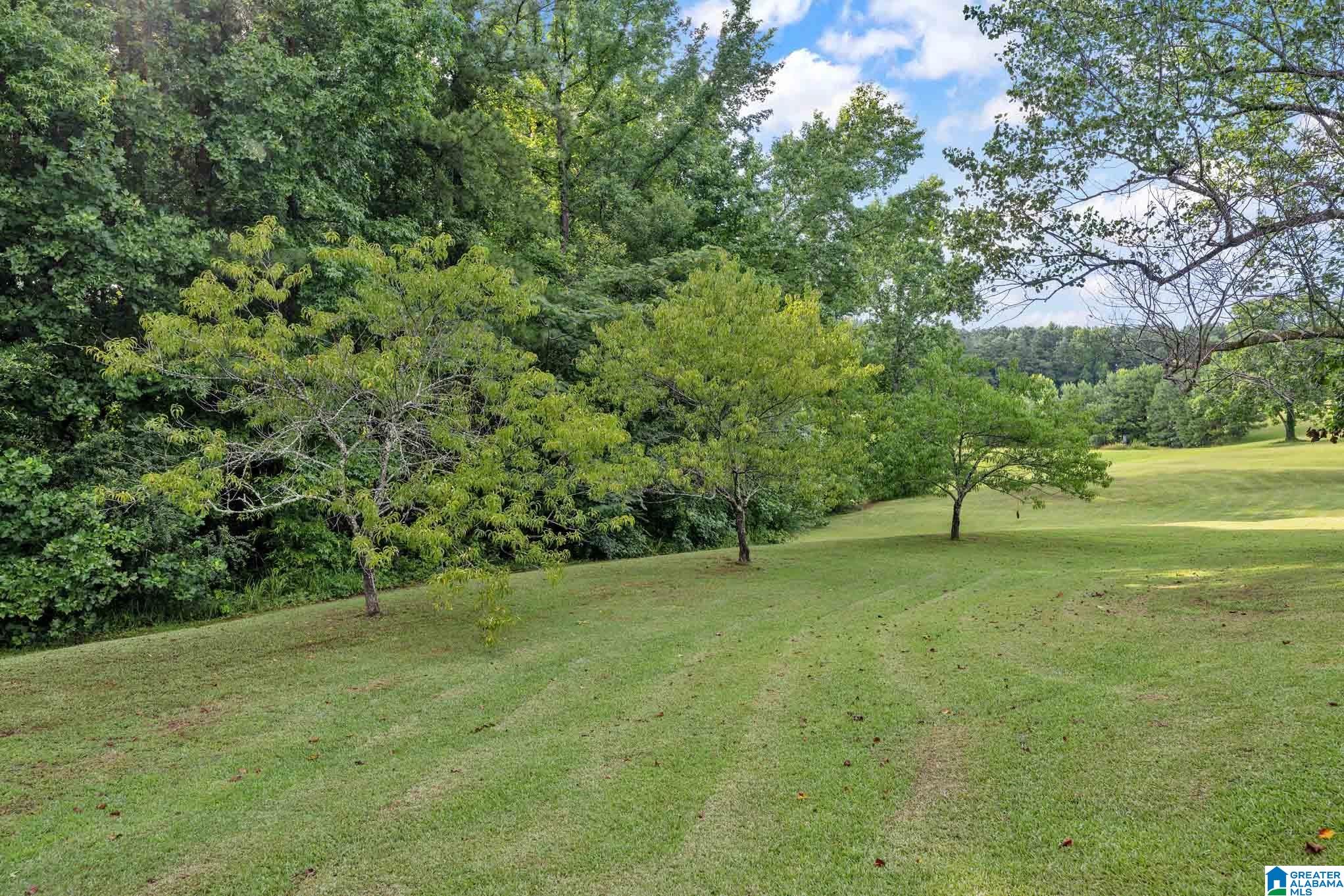 845 Cox Cove Road Hayden, AL 35079 - Photo 51 of 80