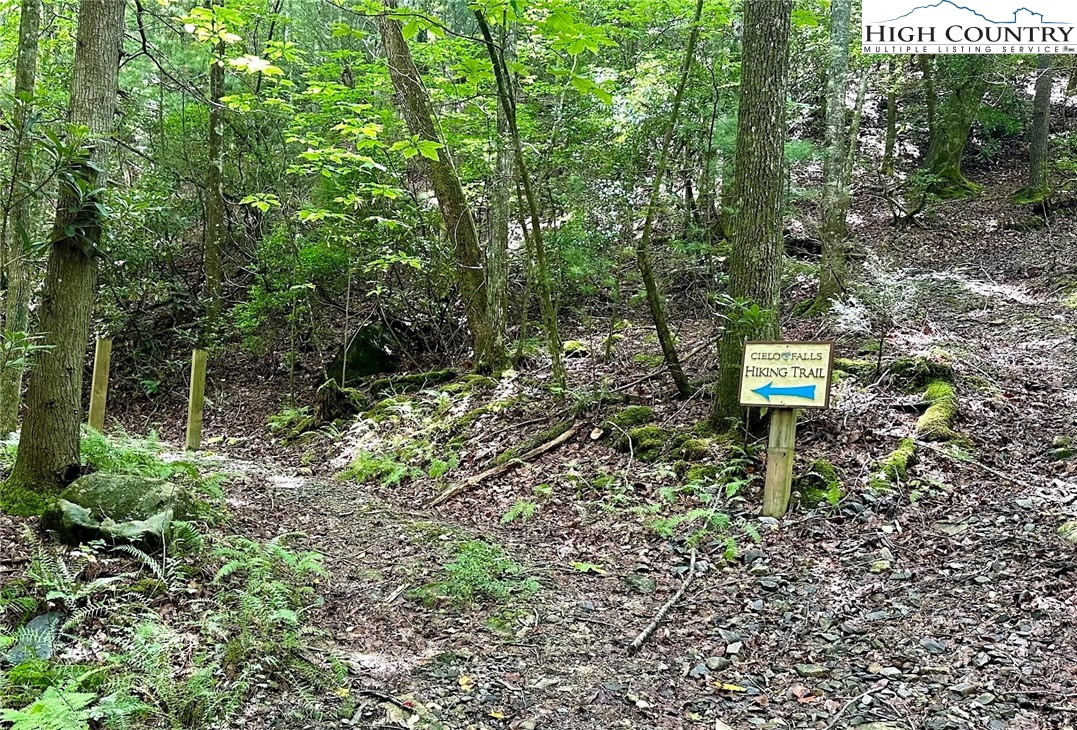 Lot 2 East Cielo Ridge Way Purlear, NC 28665 - Photo 18 of 24