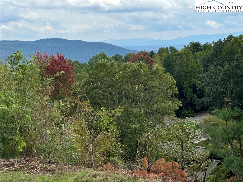 Lot 2 East Cielo Ridge Way Purlear, NC 28665 - Photo 2 of 24 a view of a city with lush green forest