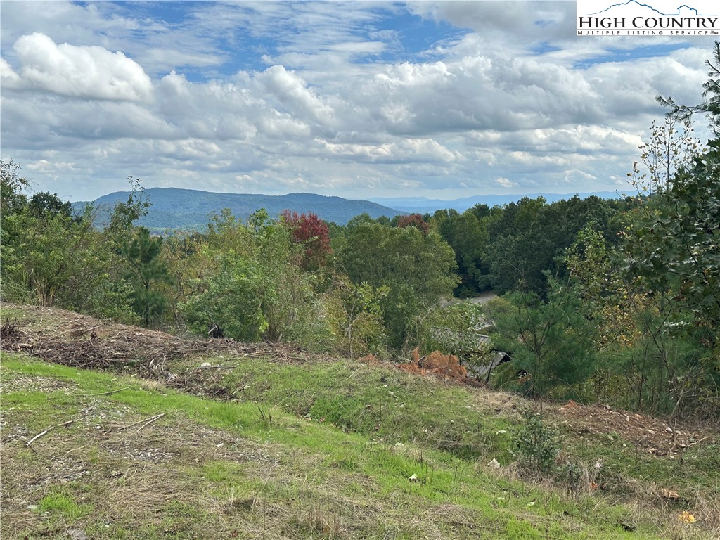 Lot 2 East Cielo Ridge Way Purlear, NC 28665 - Photo 3 of 24 a view of a field of grass and trees