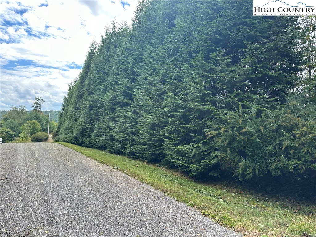 Lot 2 East Cielo Ridge Way Purlear, NC 28665 - Photo 4 of 24 a view of a yard with a tree