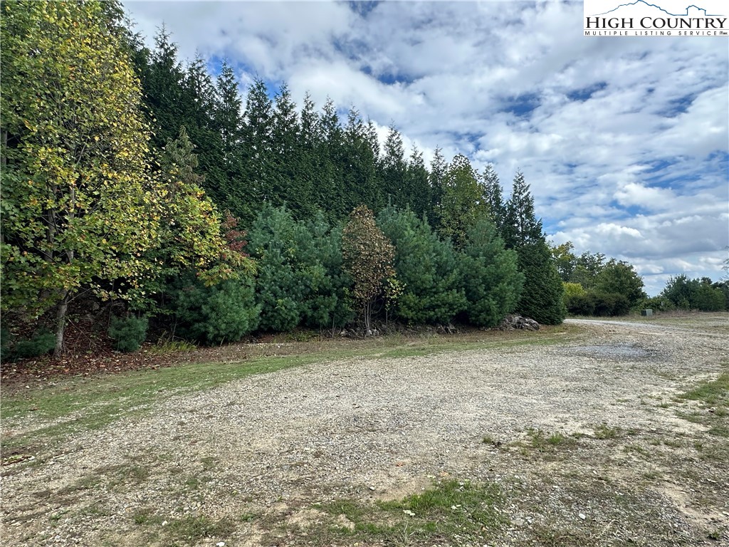 Lot 2 East Cielo Ridge Way Purlear, NC 28665 - Photo 6 of 24 a view of empty field with trees