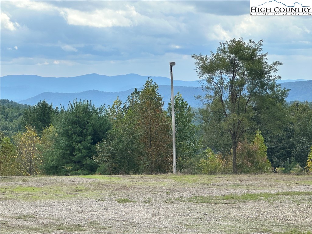 Lot 2 East Cielo Ridge Way Purlear, NC 28665 - Photo 8 of 24 a view of a yard with an trees