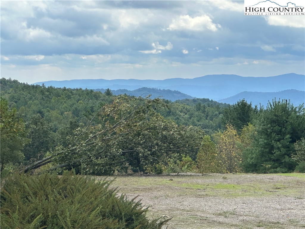 Lot 2 East Cielo Ridge Way Purlear, NC 28665 - Photo 9 of 24 a view of a lake in middle of forest