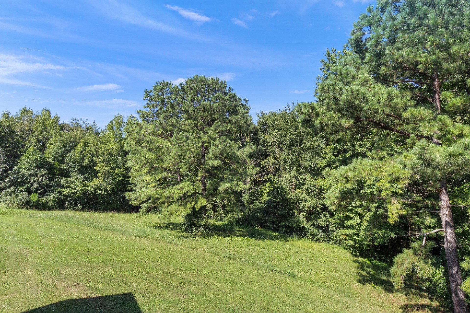 1150 Cumberland Heights Road Clarksville, TN 37040 - Photo 42 of 46 Gallery Image 42