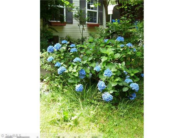 5615 Horse Farm Road Summerfield, NC 27358 - Photo 13 of 15 Other. Blooming hydrangas!