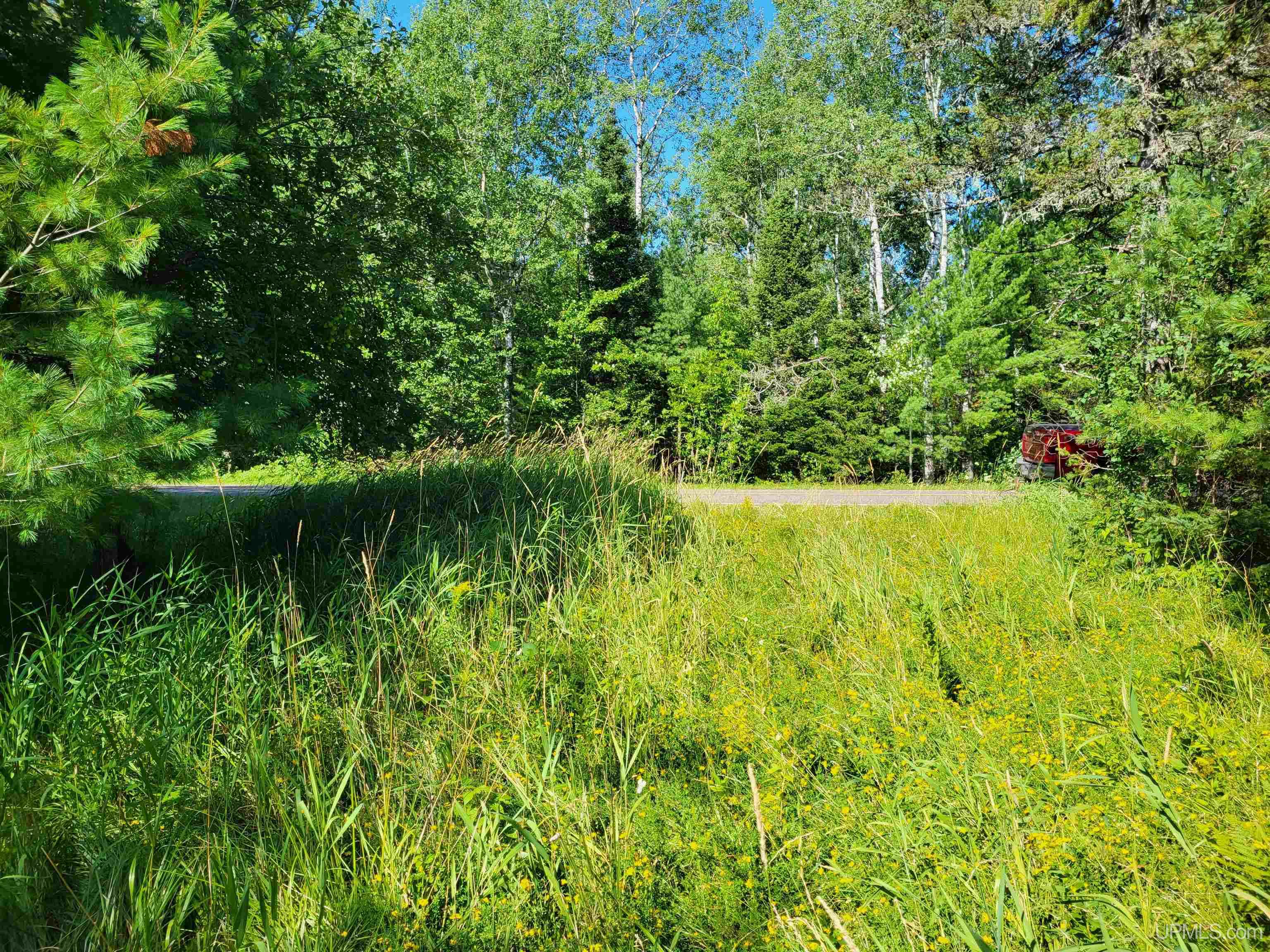 Tbd Tbd Hall Road Bruce Crossing, MI 49912 - Photo 6 of 7