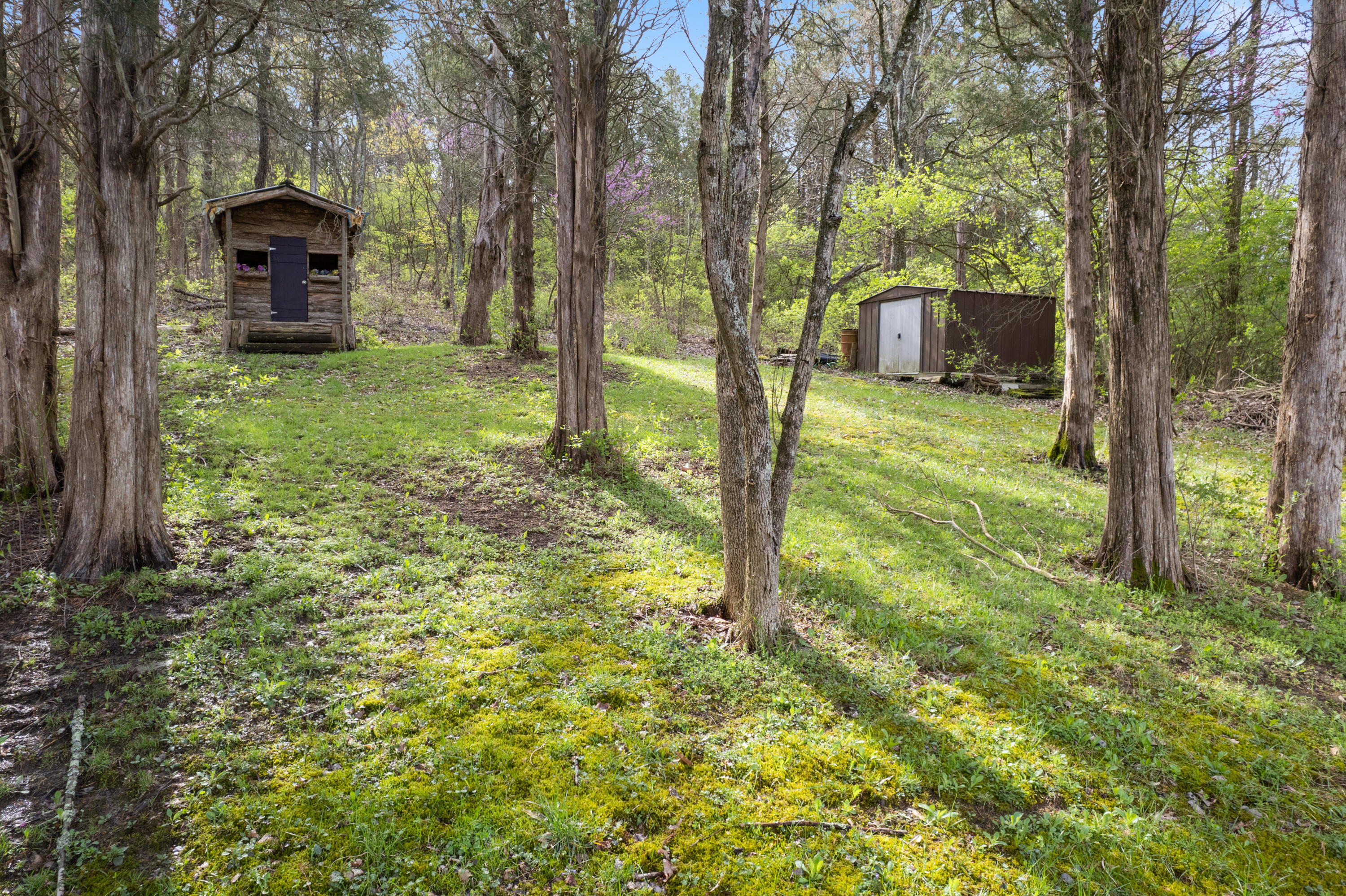 9377 Jerry Wright Road Alexandria, KY 41001 - Photo 37 of 48 Gallery Image 37