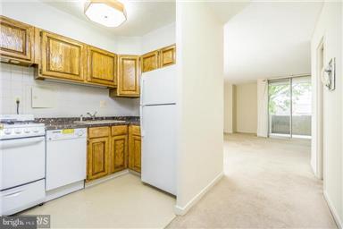 240 M Street Southwest, Unit E102 Washington, DC 20024 - Photo 2 of 29 Kitchen