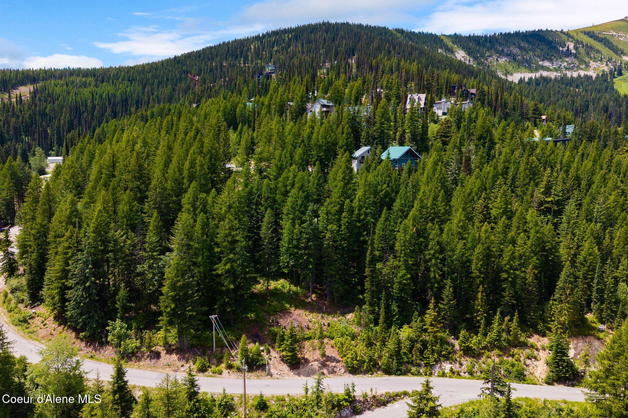 01 Mogul Hill Road Sandpoint, ID 83864 - Photo 7 of 26 5_DJI_20260703134334_0221_D
