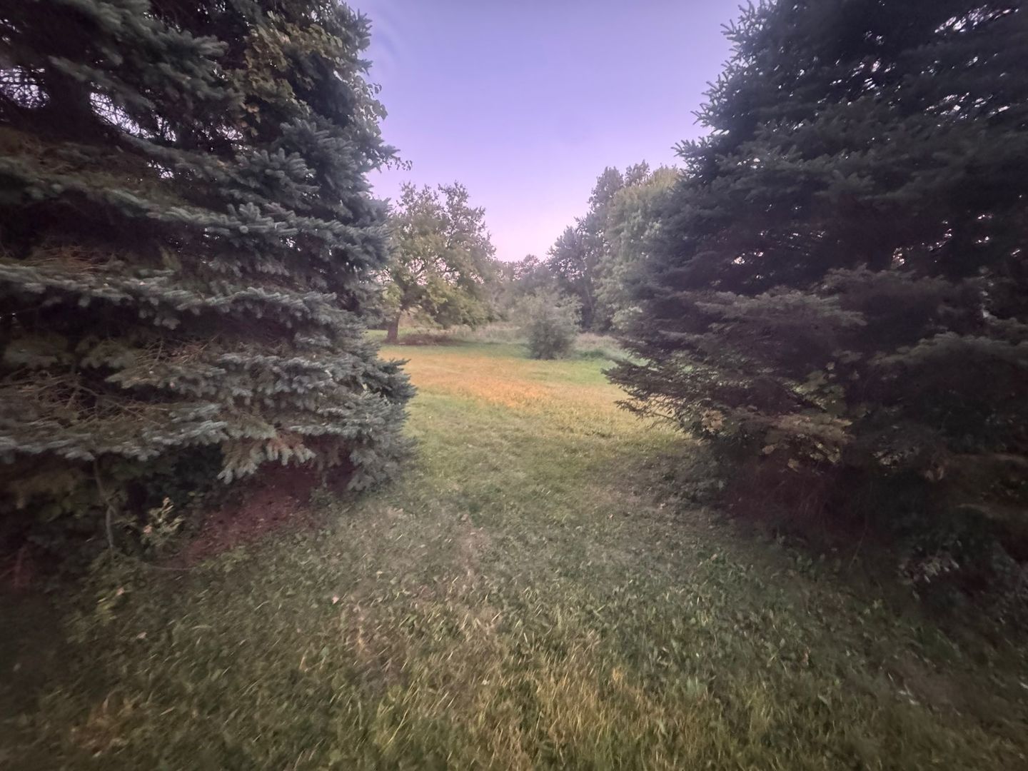 0 South Road Fox River Grove, IL 60021 - Photo 2 of 5